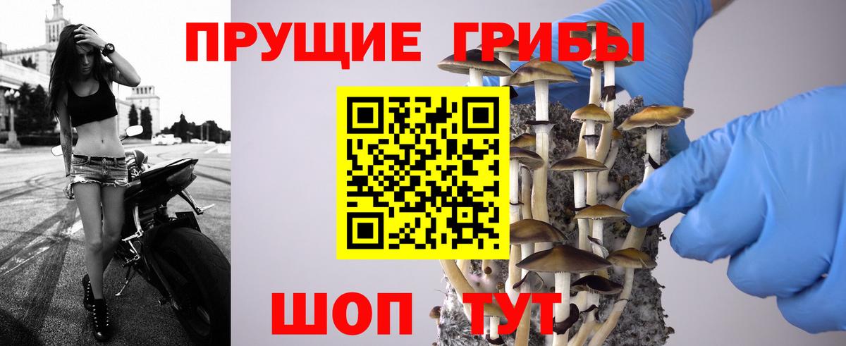 Галлюциногенные грибы GOLDEN TEACHER  Вход с VPN  Галлюциногенные грибы ЛСД  купить   Ишимбай 